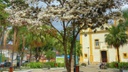 MTur sao jose do barreiro (4).jpg