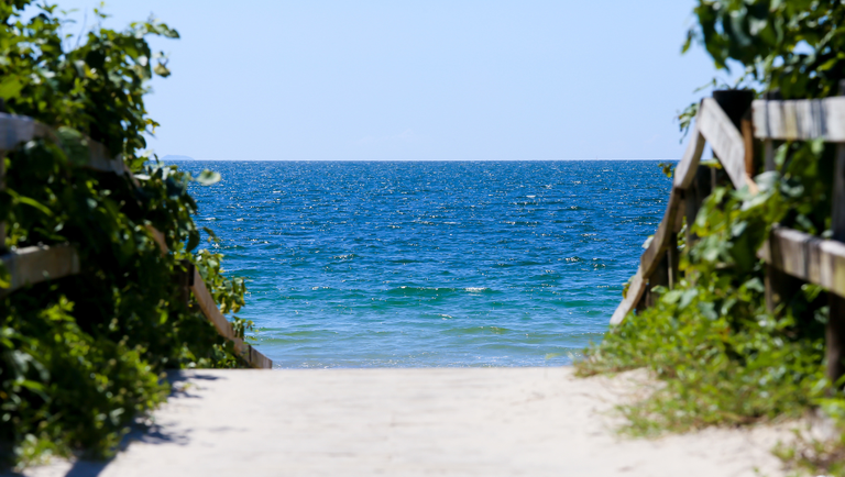 Design sem nome (1).png