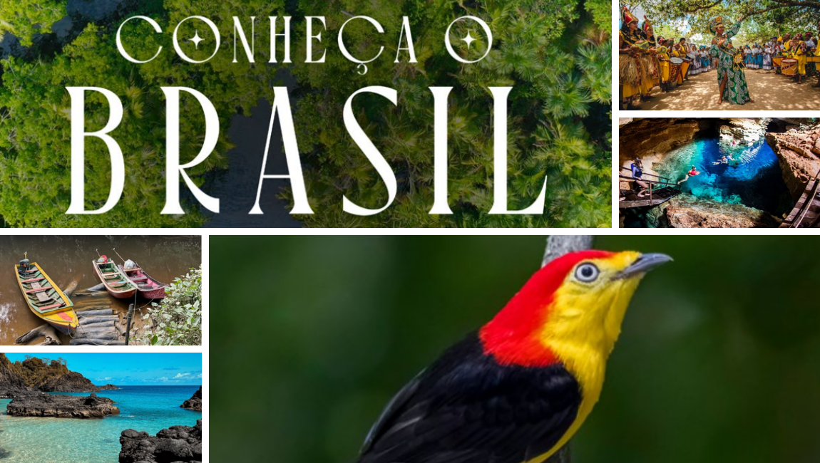 Guia inédito apresenta roteiros autênticos que valorizam a sociobiodiversidade e as comunidades tradicionais brasileiras