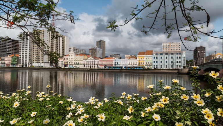 PE FICHA - BRUNO LIMA.jpg