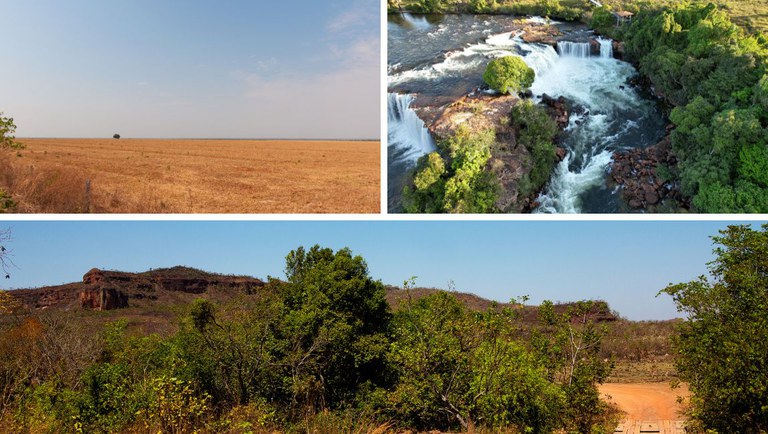 Design sem nome (1).jpg