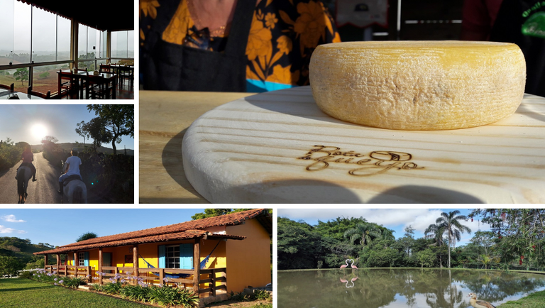 12-09-21 MOSAICO ROTA DO QUEIJO TERROIR VERTENTES.png