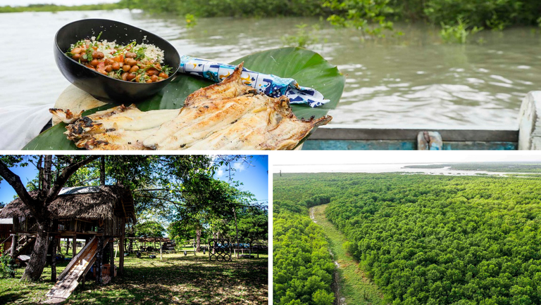 27.08.2021 - Rota Amazônia Atlântica - Hotel Urumajó e Perimerim em rota -  Crédito João Ramid (1).png