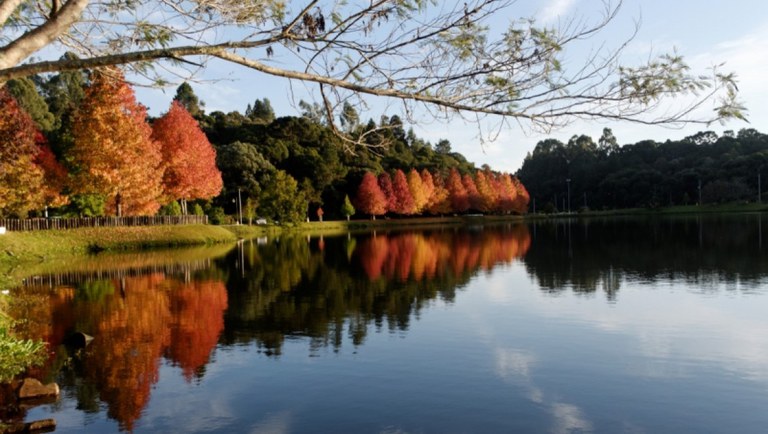 29.07.2021_matéria_flona_são francisco.jpg