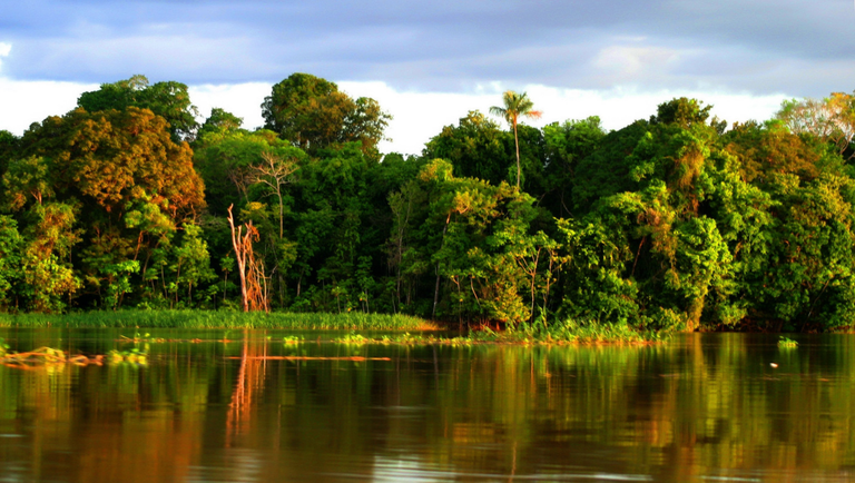 18.03.2022 - Tefe AM.png