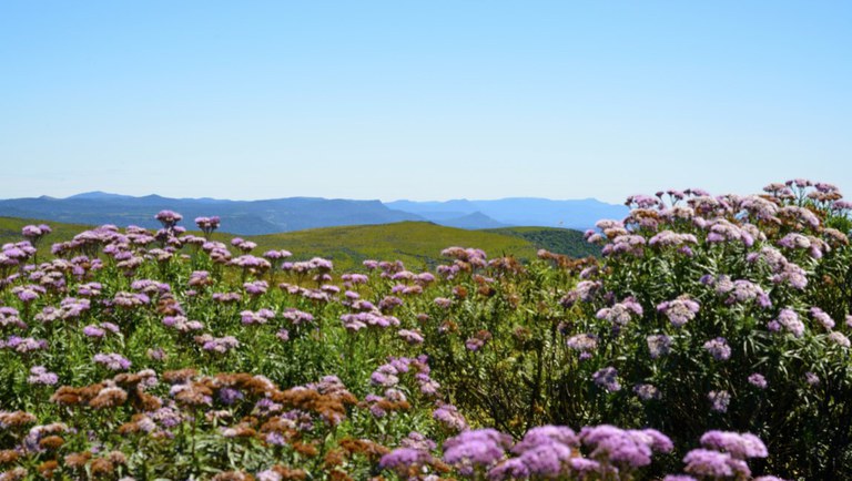 24.09.2021_Foto-da Semana.jpg