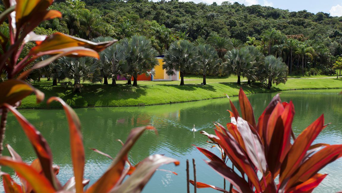 Jornal americano destaca ampla variedade de exposições de um dos maiores museus a céu aberto do mundo