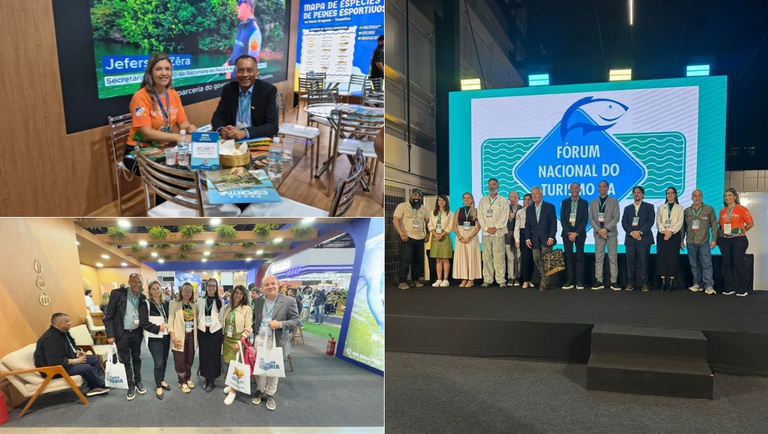 Design sem nome (17).jpg