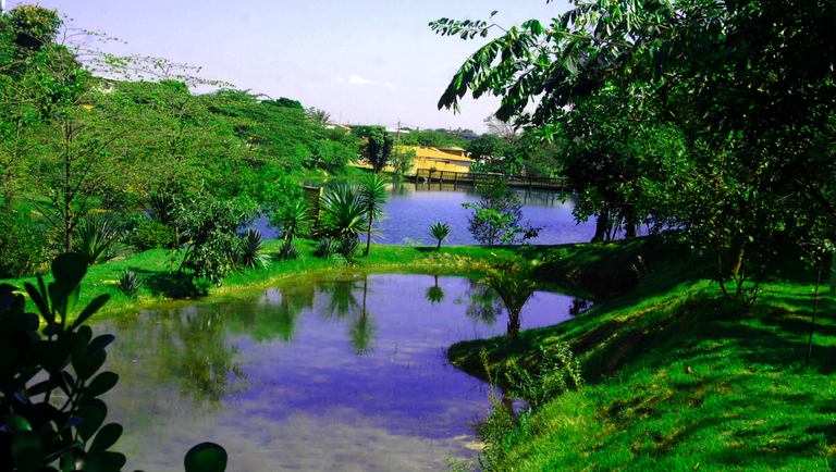 09-05-22 PARQUE IRMÃ DOROTHY STANG - HORTOLÂNDIA SP - CRÉDITO DIVULGAÇÃO PREFEITURA.png