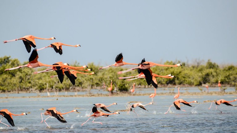 Design sem nome (9).jpg