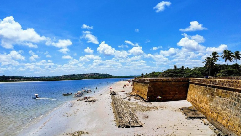 Design sem nome (5).png