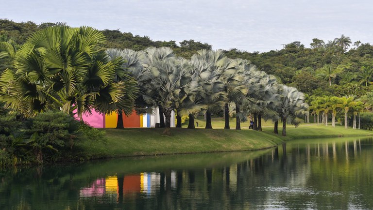 14.01.2021 - MG - Inhotim - Brumadinho - Pedro Vilela.jpg