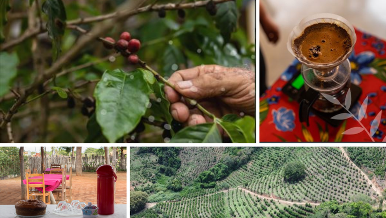 Dia Nacional do Café