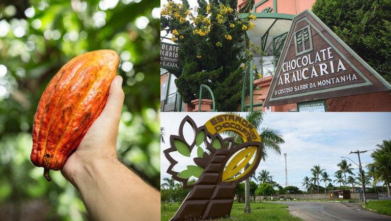 Design sem nome (17).jpg