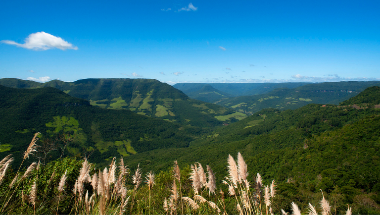 Parques nacionais de Aparados da Serra e da Serra Geral passam a receber  investimentos privados — Português (Brasil)