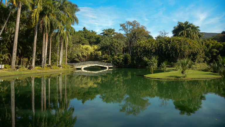 Tomaz silva agencia brasil.jpg