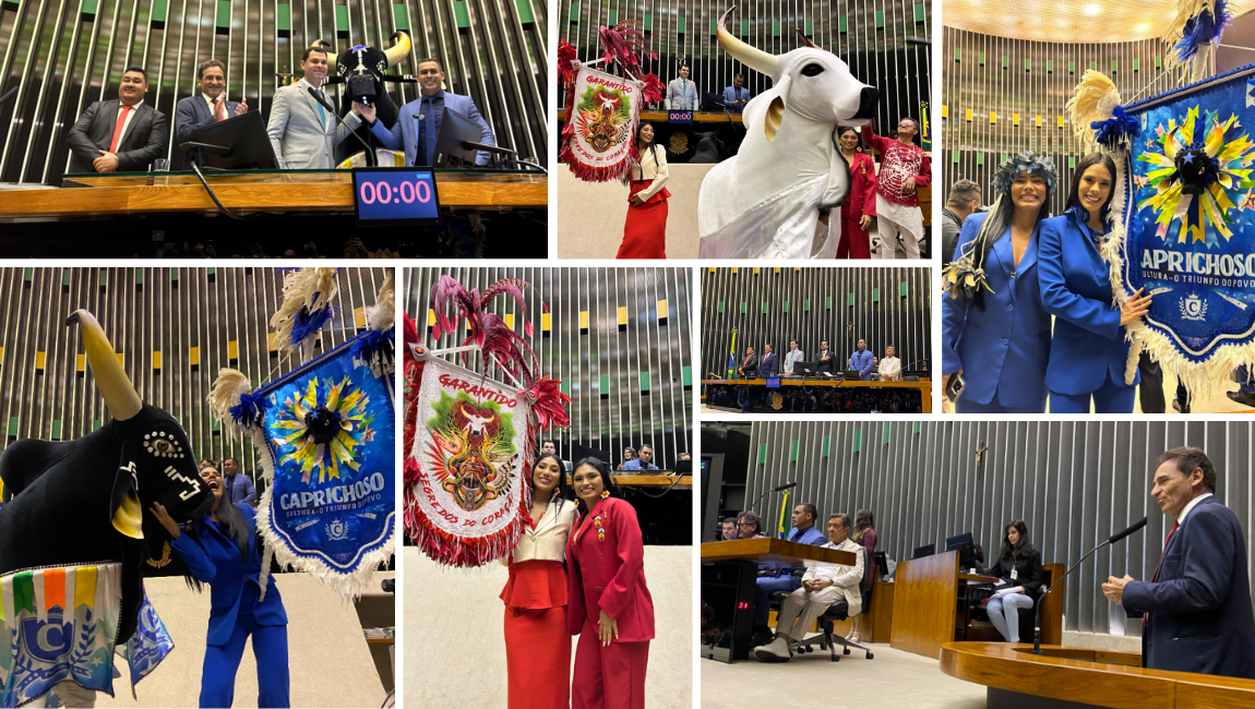 Evento reconhece a importância do festival de Parintins para a cultura do estado do Amazonas, além do movimento que causa na economia e no turismo da região