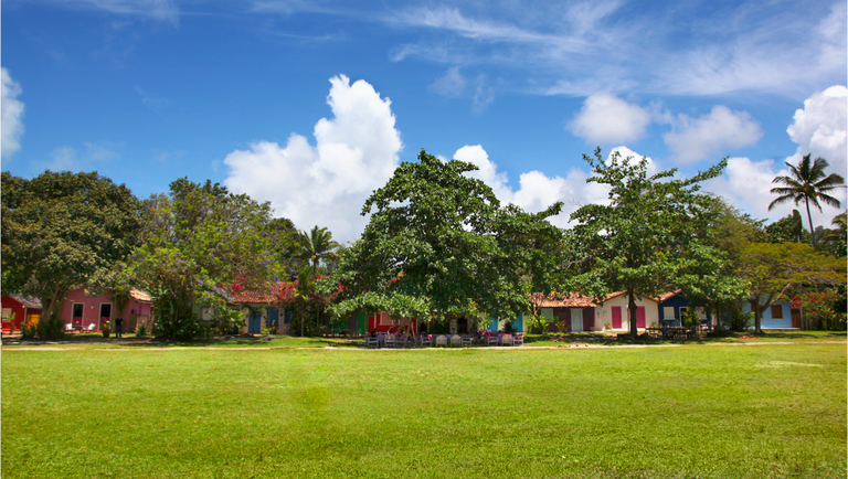 14.10.2021 - UXUA - divulgação UXUA.png