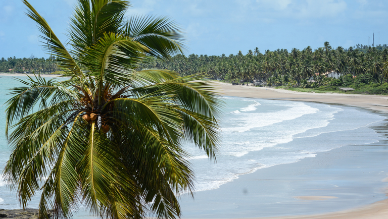 Design sem nome (4).png