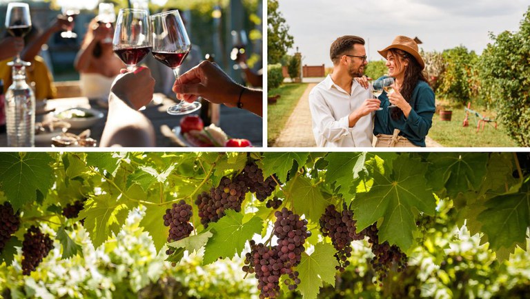 Design sem nome (50).jpg