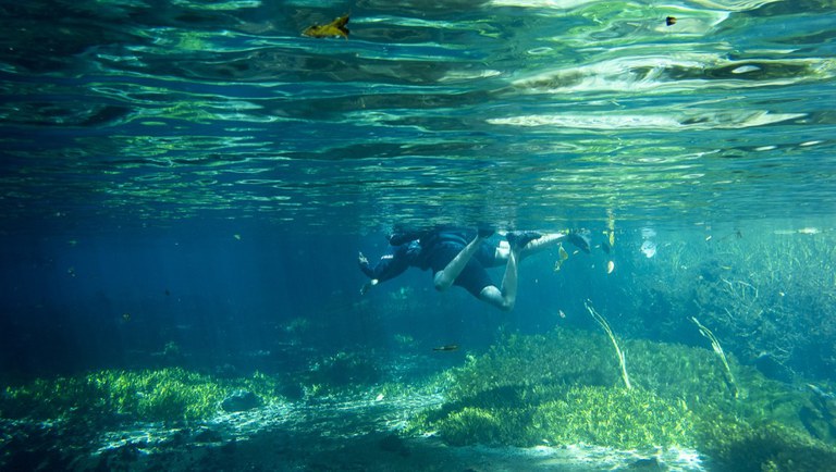 19.10.2021_Rio Sucuri_Bonito.jpg