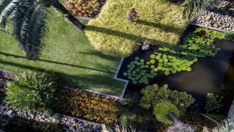 27.07.2021 - Sítio Roberto Burle Marx - Crédito Iphan.png