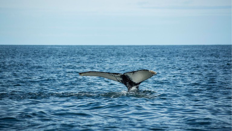 Design sem nome (22).jpg