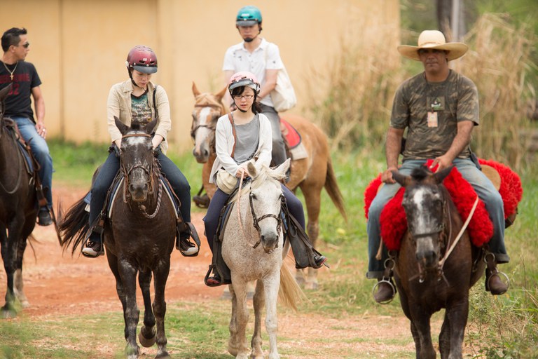 Trinta e nove agências de turismo estão credenciadas para recepcionar turistas chineses
