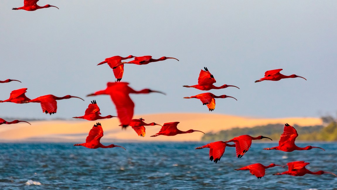 Material, elaborado a partir de consultoria técnica, reúne a oferta de atrativos e serviços relacionados à prática em todo o país, incentivando a atividade como estratégia de desenvolvimento sustentável