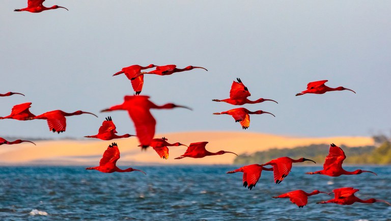 Experiências que unem natureza, conservação e desenvolvimento sustentável.