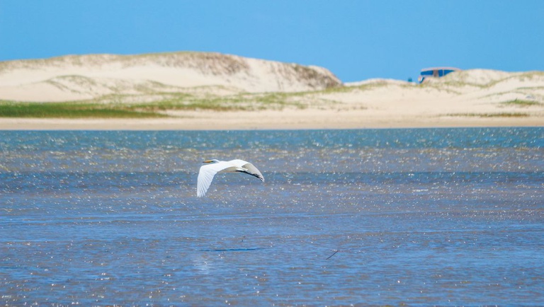 Design sem nome (6).jpg