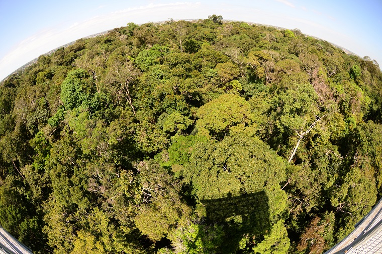 05.09.2018 MarioOliveira Musa Manaus AM