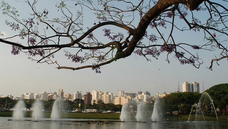 Parque do Ibirapuera foi projetado por Oscar Niemeyer e é o mais importante parque urbano da cidade de São Paulo. Foto: Rubens Chiri