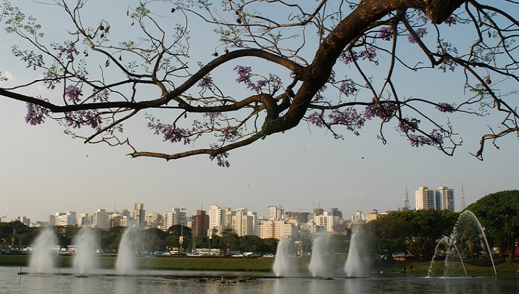 07_08_2015_parque_ibirapuera_sp.jpg