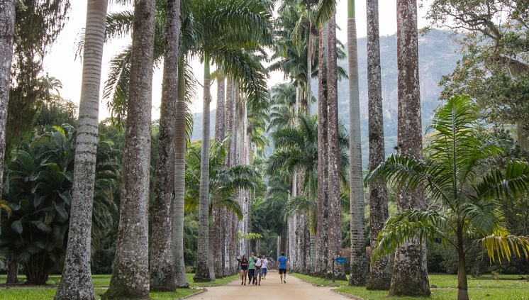 Jardim Botânico do Rio de Janeiro (RJ). Foto: Diego Campos