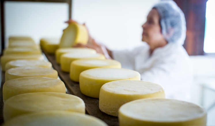 18 04 18 queijoCanastra Foto APROCAN BMM7383