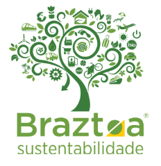 logo_braztoa.png