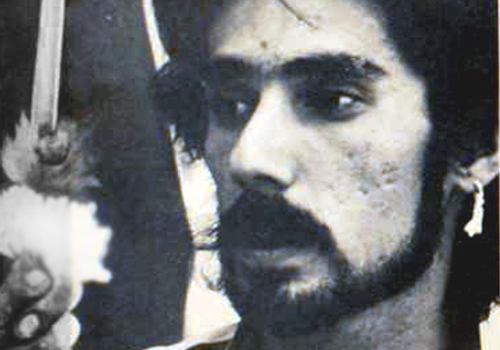 Dossiê Clóvis Irigaray.