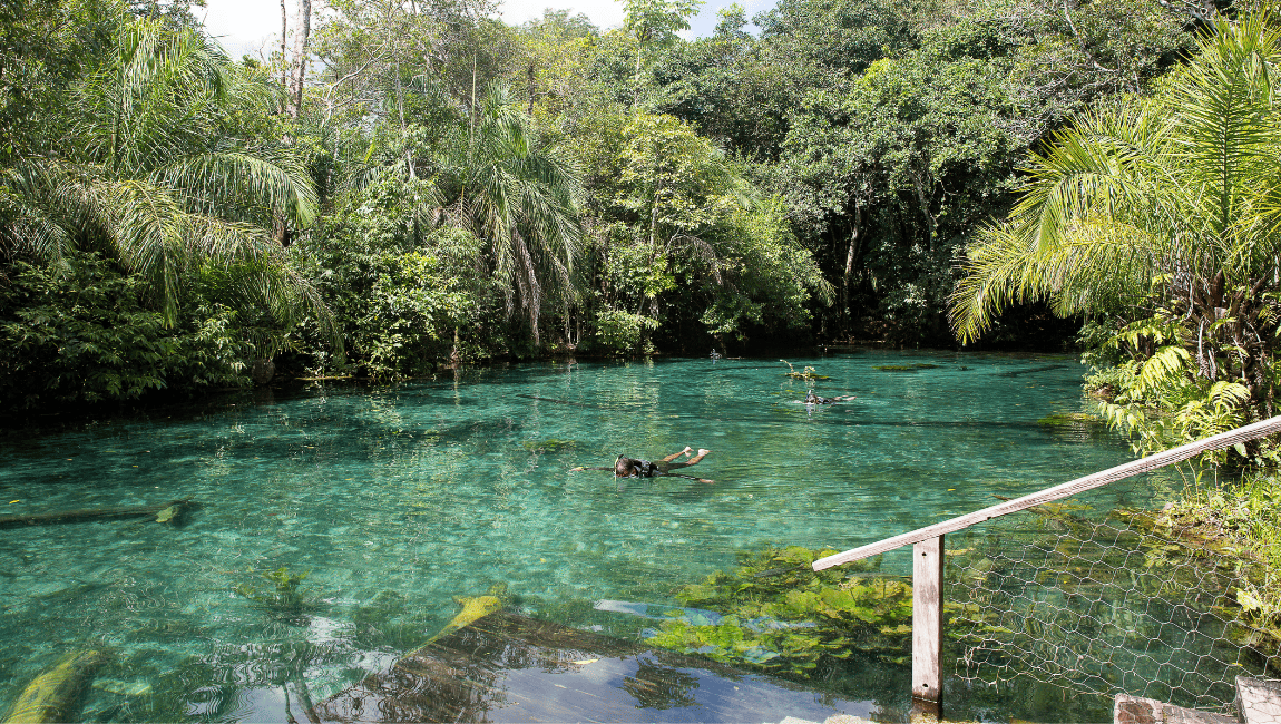 Conheça Bonito, o paraíso das águas cristalinas para se refrescar no verão