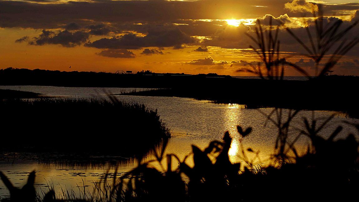 Conheça o santuário de lagoas costeiras e biodiversidade preservada