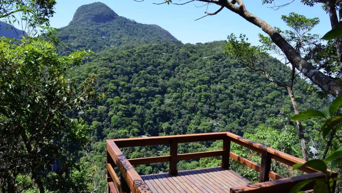 Trilhas, mirantes, história e natureza: conheça o Parque Nacional da Tijuca