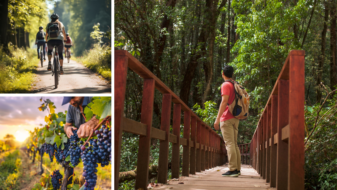 Sul traz natureza e cultura local no Catálogo de Experiências do MTur