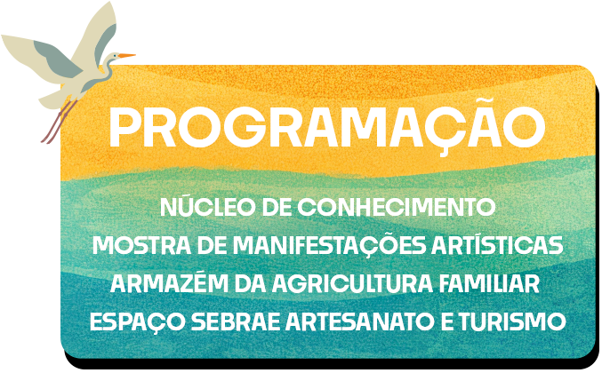 Programação