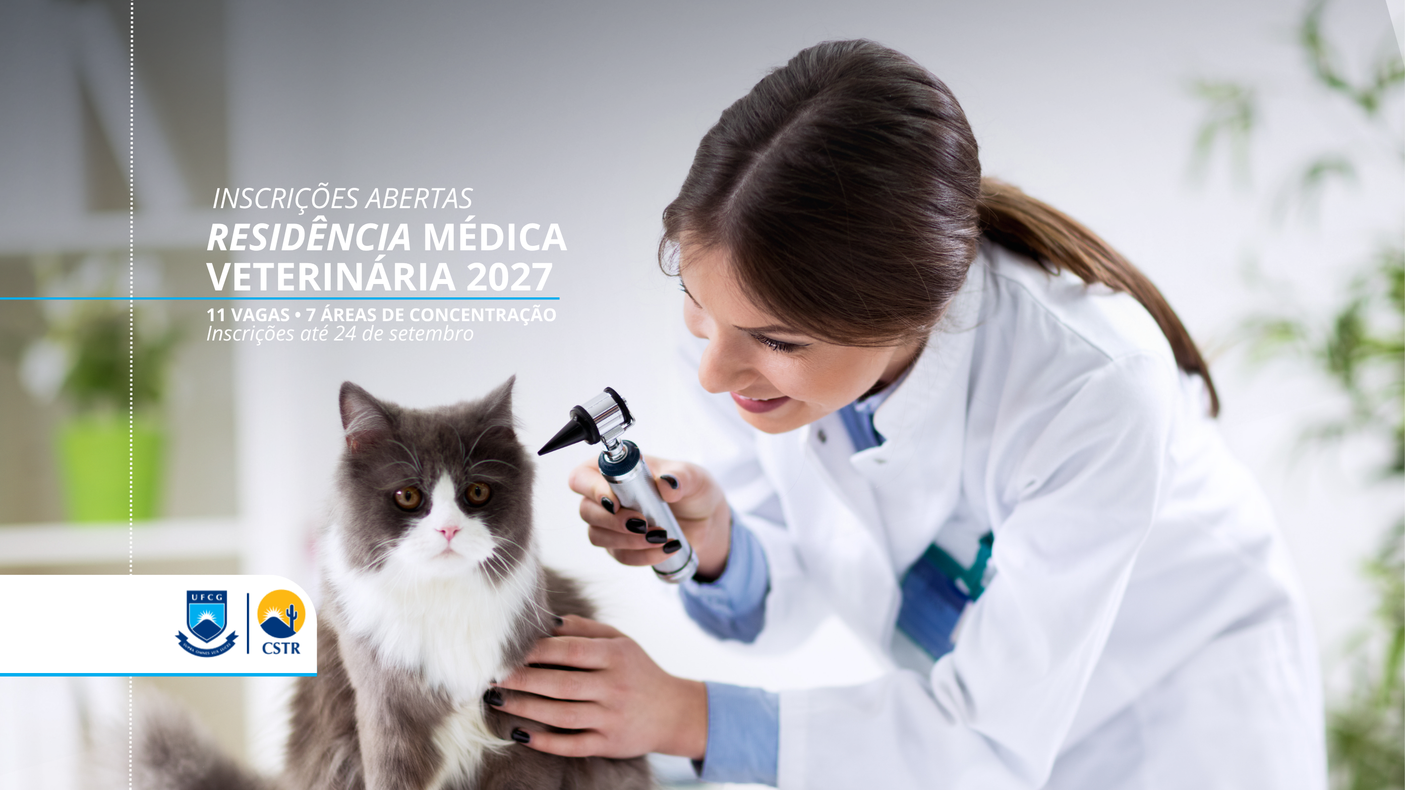 Imagem ilustrativa,