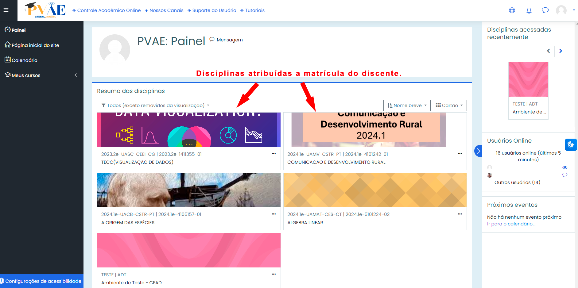 Painel do PVAE com disciplinas do aluno destacadas no resumo.