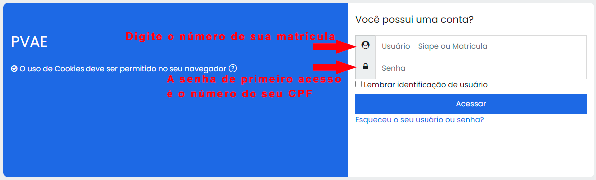 Tela de login do PVAE com instruções para matrícula e senha inicial.