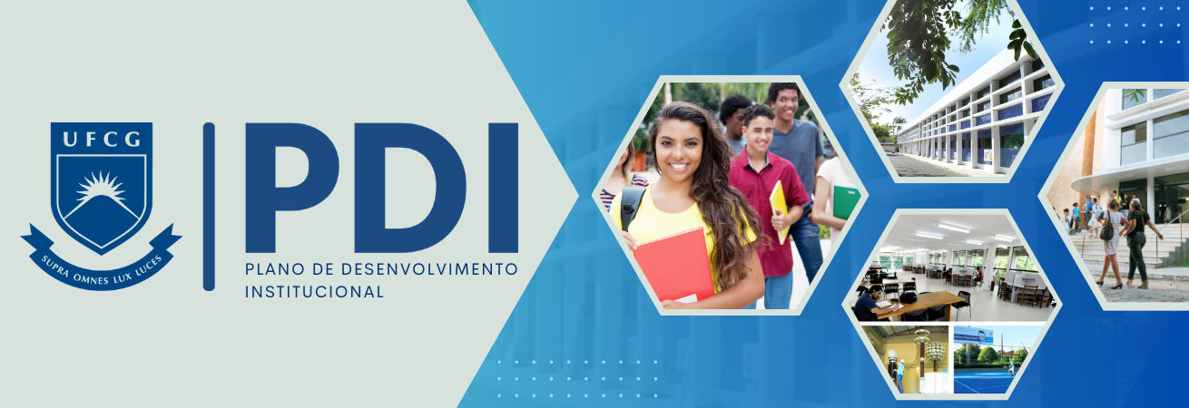 PDI_BANNER.png
