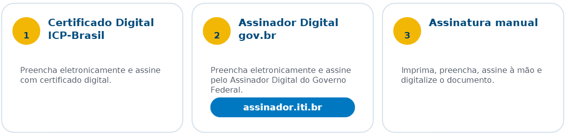 Tipos de assinatura do Termo de Declaração de Concordância e Veracidade